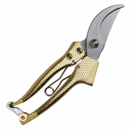 3300405_2