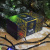 081495_4 081495_4
